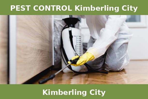 PEST CONTROL Kimberling City